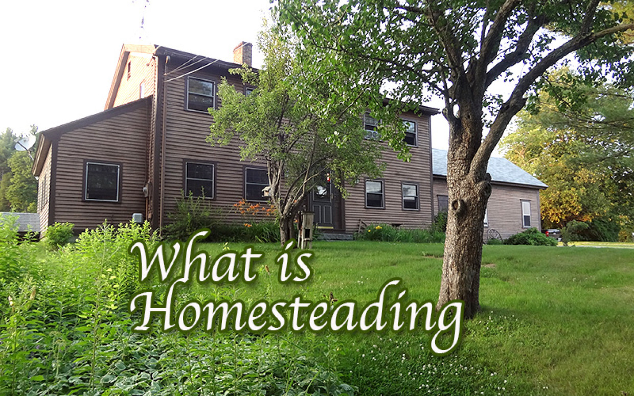 What is Homesteading?