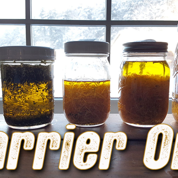 Carrier Oils
