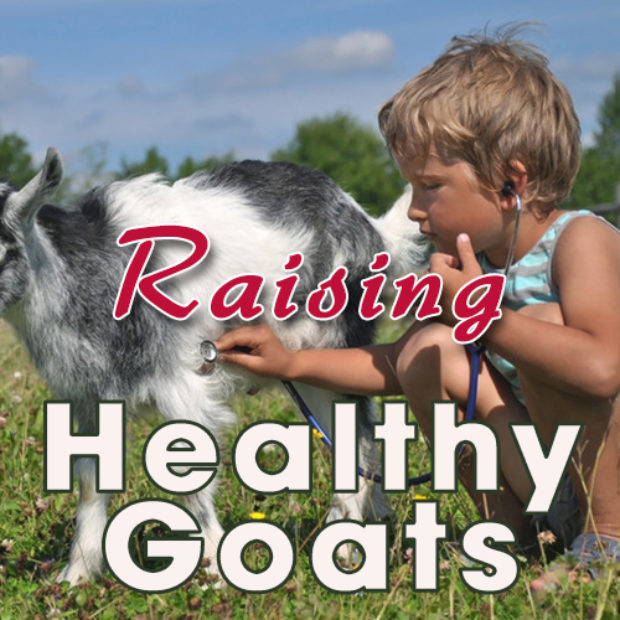 Raising Healthy Goats