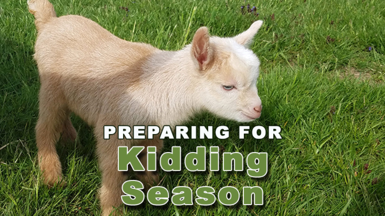 Preparing for Kidding Season