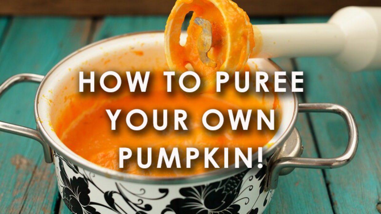 How to puree your own pumpkin!