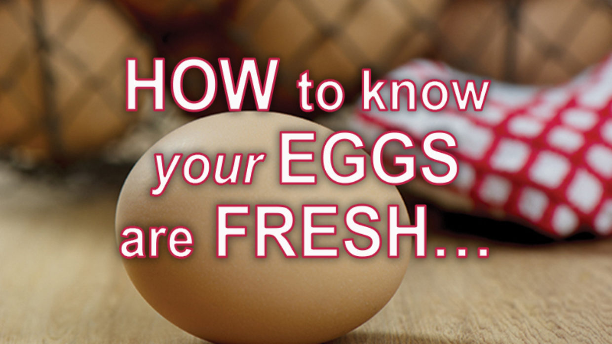 How to know your eggs are fresh…