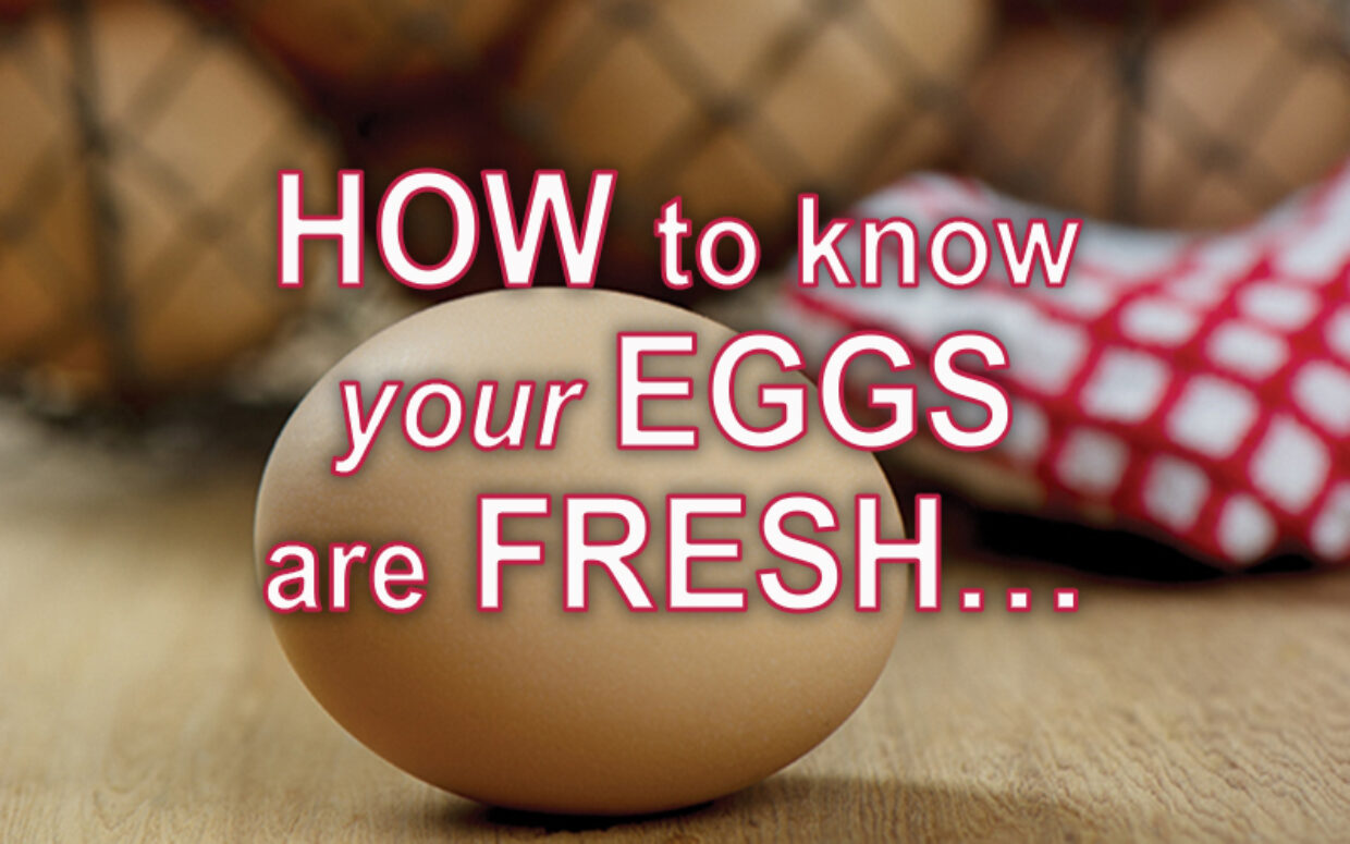 How to know your eggs are fresh…
