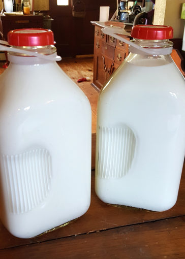Raw goats milk for sale in NH