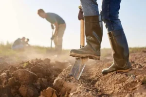 How to Choose the Right Farm Boots for Work Safety