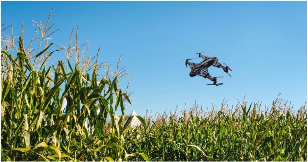 Revolutionizing Farming Sustainable Chemical-Free & Eco-Friendly Agriculture Technology 2