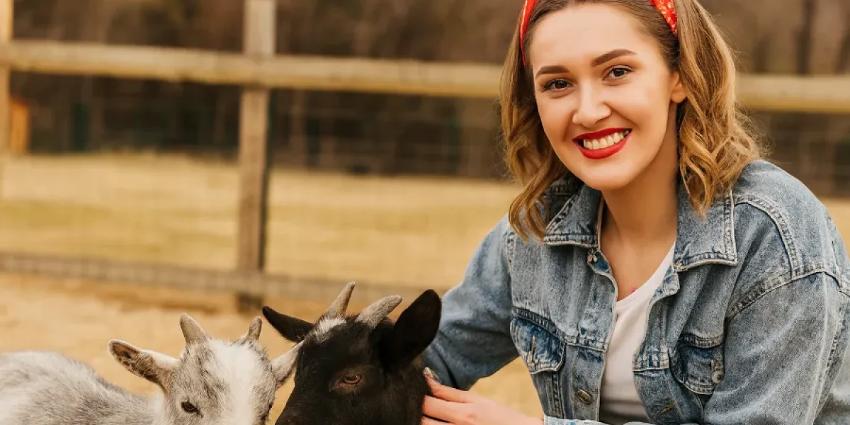 pygmy goats 1